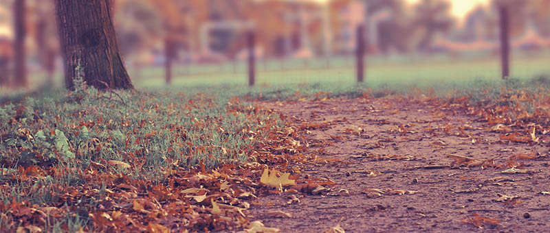 找一个DDOS压力测试